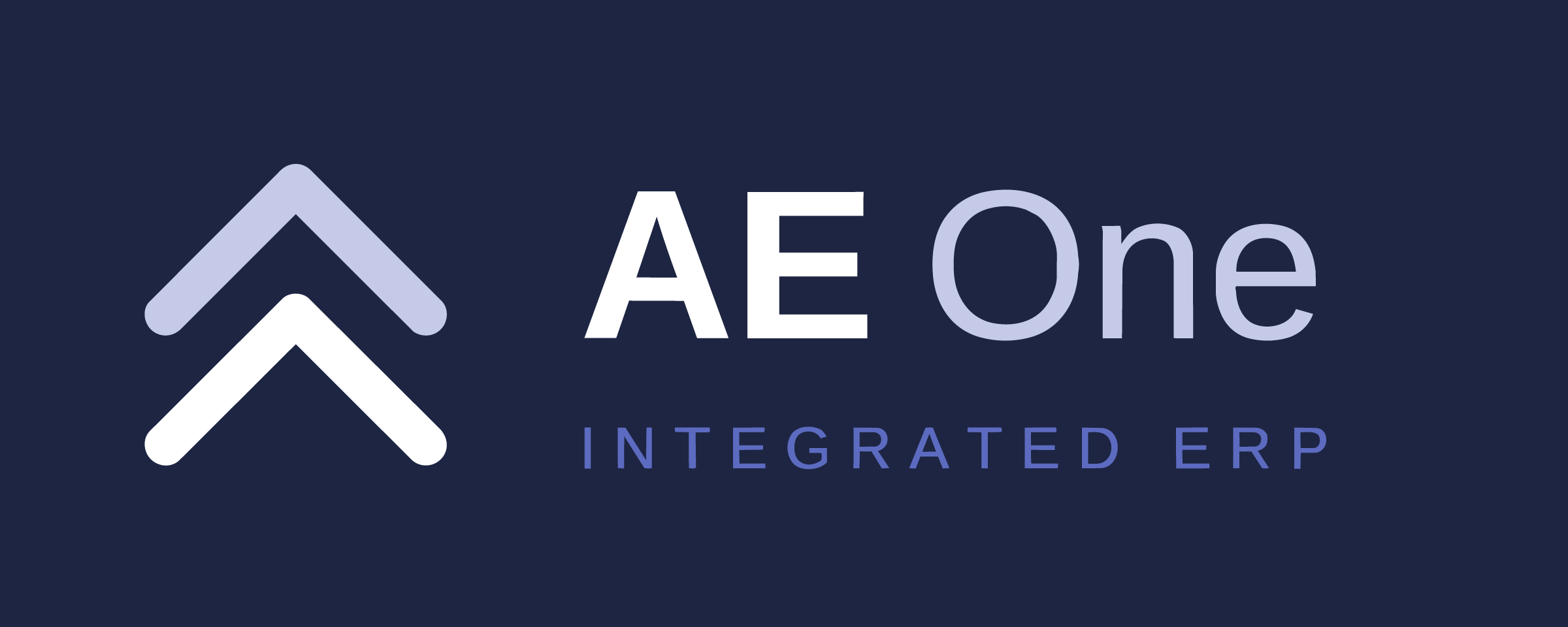 AE One INTEGRATED ERP